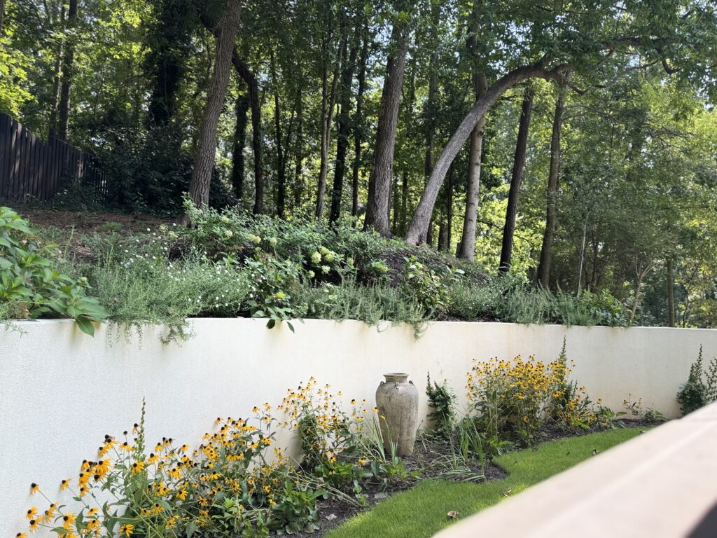 landscape with flowers and greenery