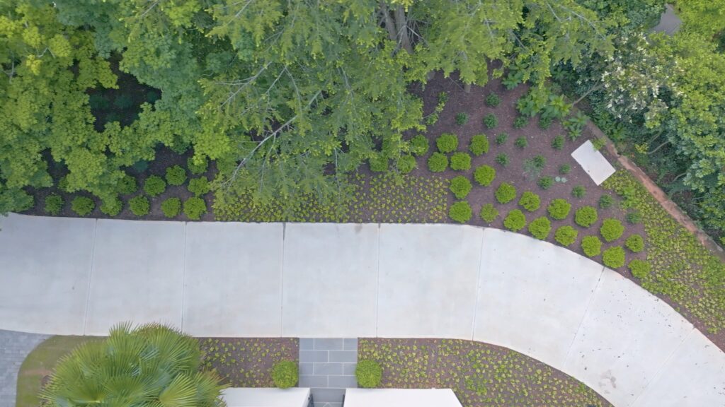 aerial view of sidewalk lined with bushes