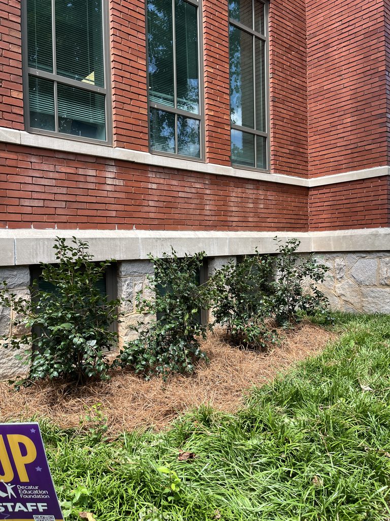bushes by front of school
